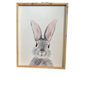 Steal It Box pictures. Rabbit on one side and geometric design on other side.